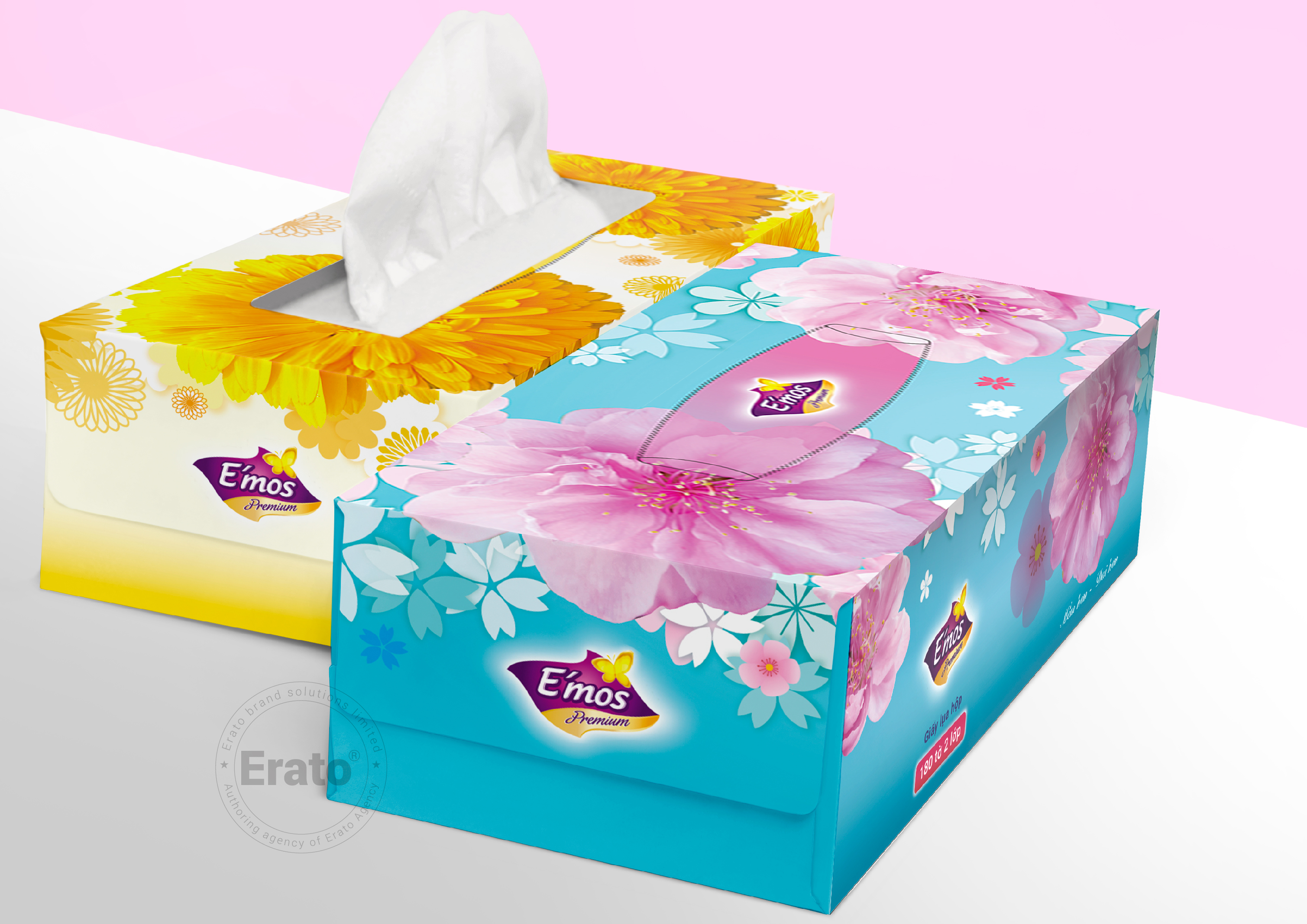 img dự án