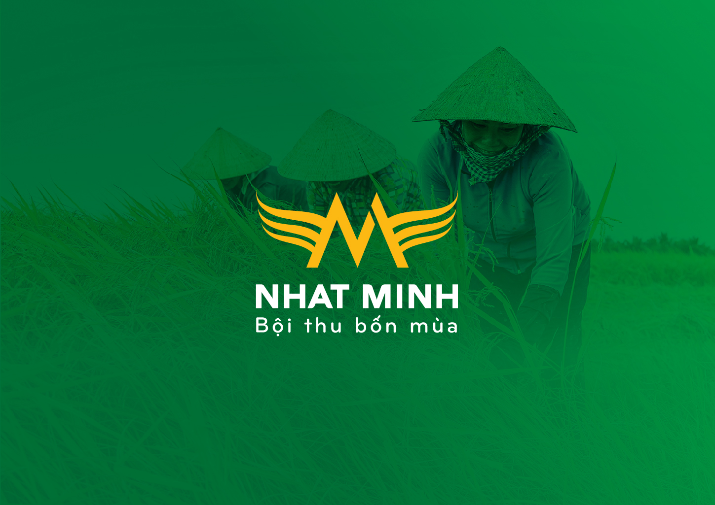 img dự án